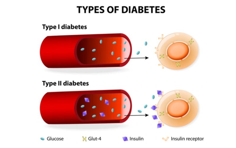 best diabetologist in kolkata